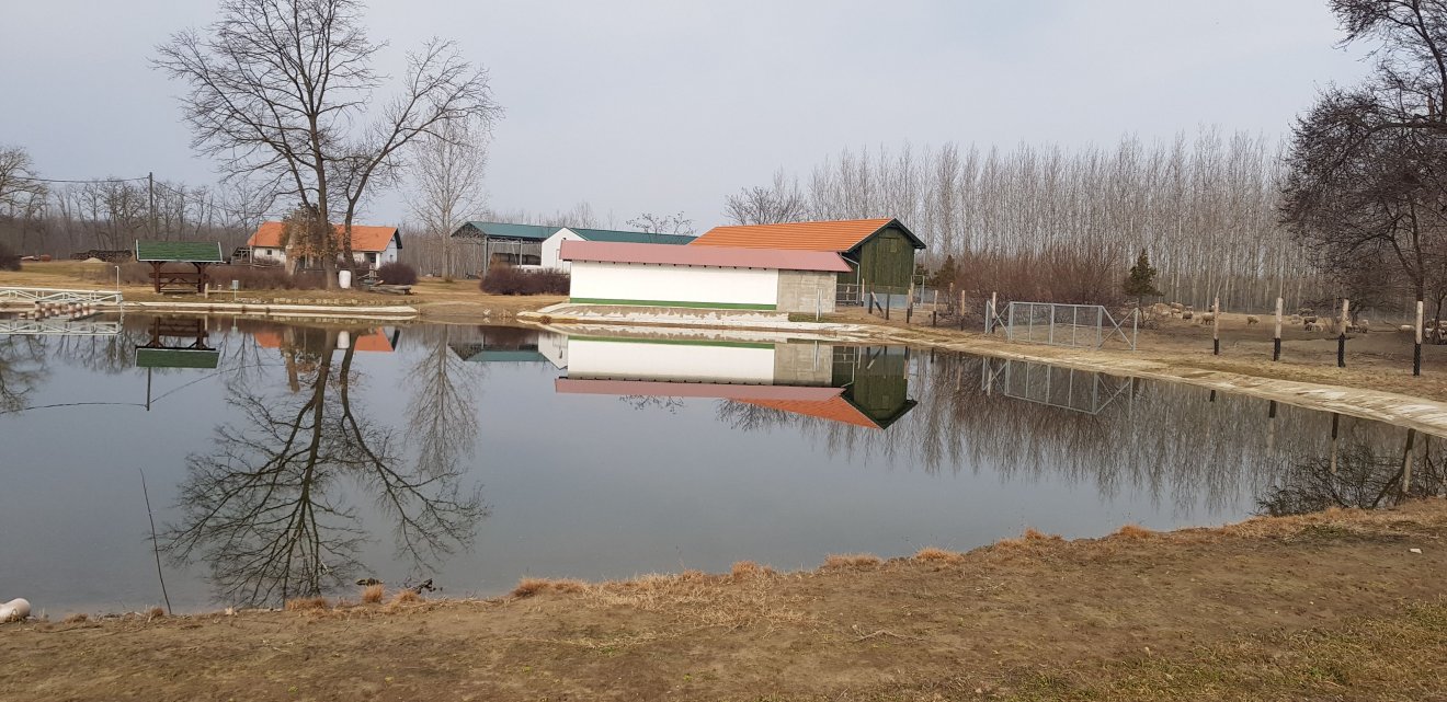 Turistalátványosságnak is elkél a lóúsztató a Felföldi-birtokon •  Fotó: Makkay József