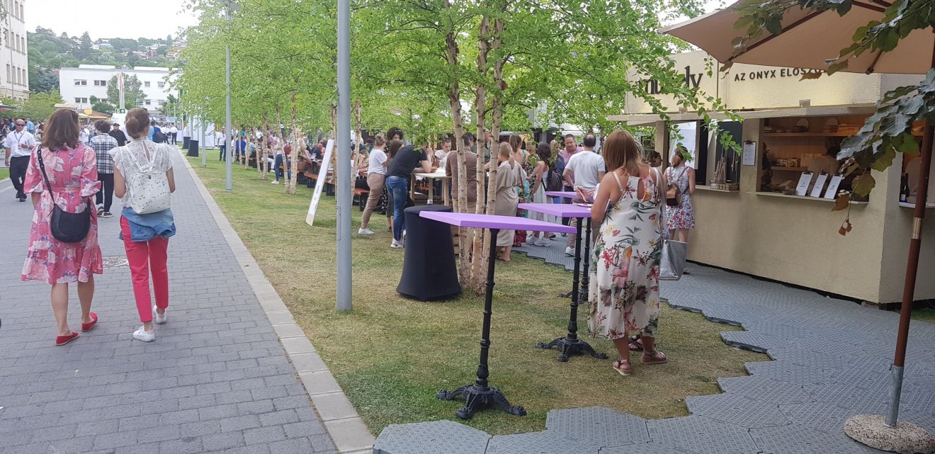 A vendégkavalkádban sok volt a külföldi látogató •  Fotó: Makkay József