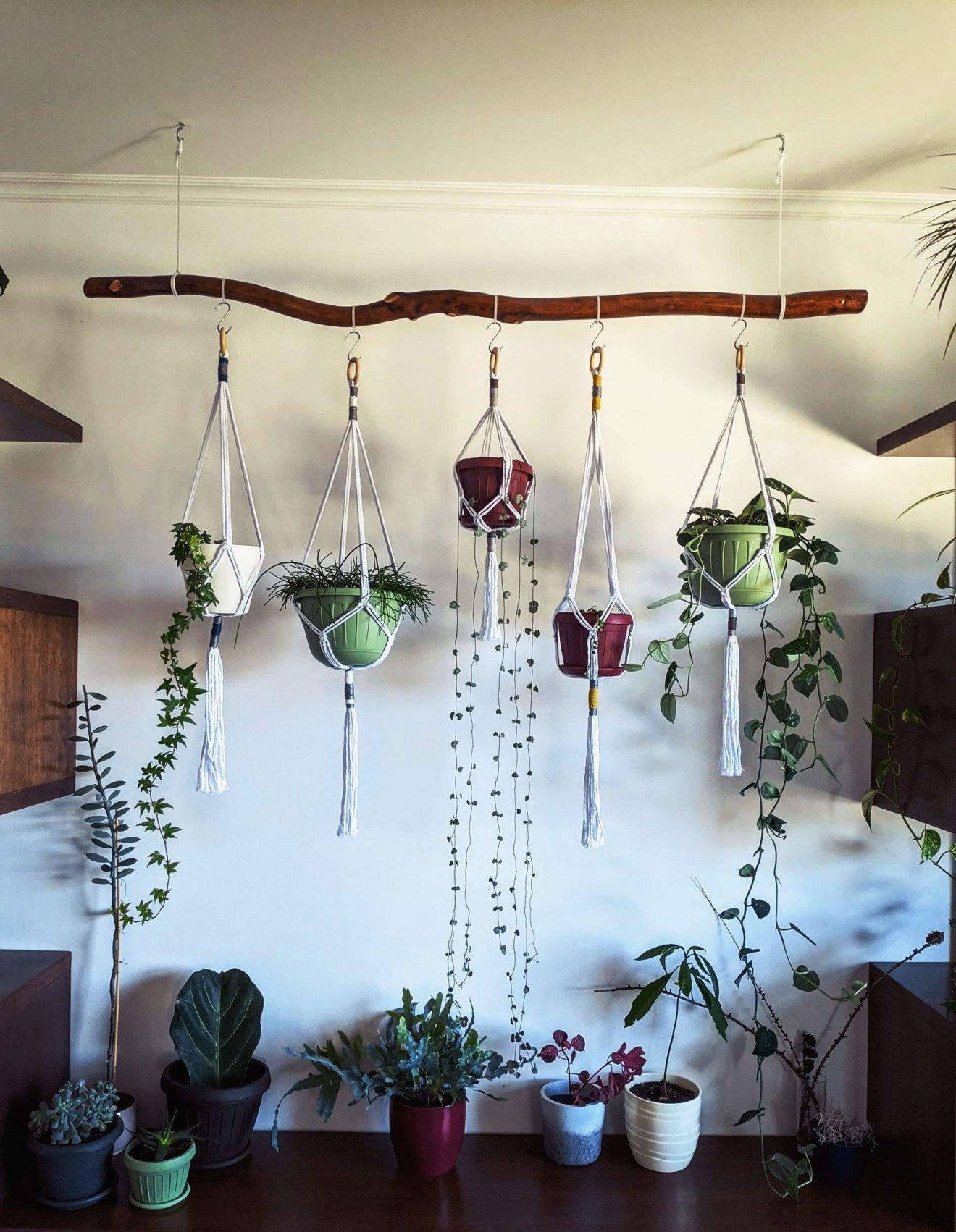 •  Fotó: Nánó Csaba