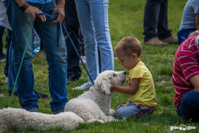 Éjjeli csavargók, vasbetonok és pelenkások versenye