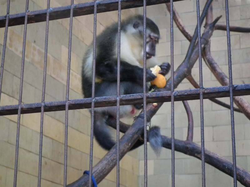 &bullet;  Fotó: Makkay József