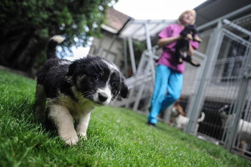 &bullet;  Fotó: Thomas Campean