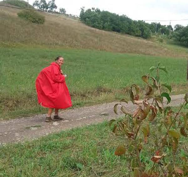 Mária-út: gyalog Máriazelltől Csíksomlyóig