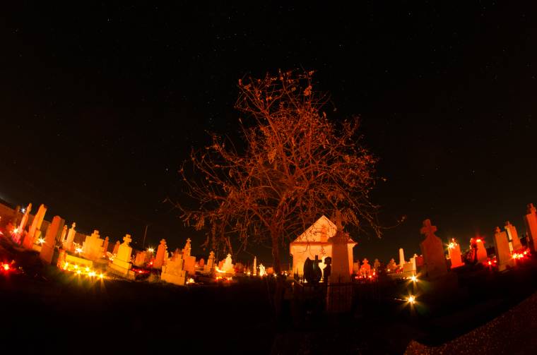 Krizantém és töklámpás halottak napján