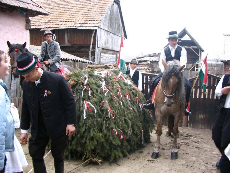 •  Fotó: Csinta Samu