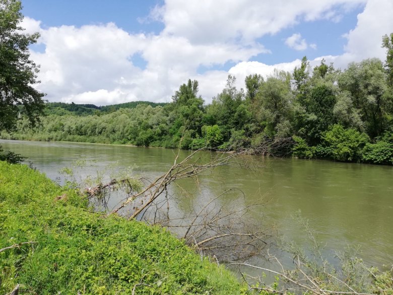 A Tisza itteni határszakaszán is sokan próbálnak átszökni Romániába •  Fotó: Makkay József
