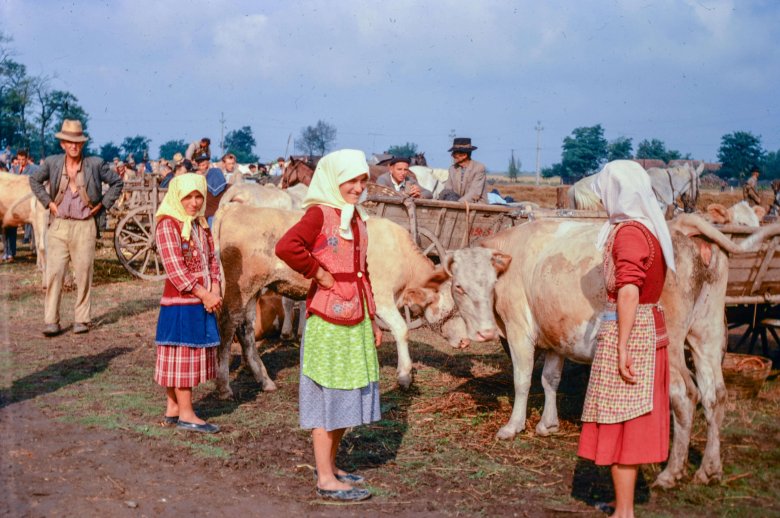 Állatvásár 1967-ben az Erdélyi-szigethegységben •  Fotó: Bridget Gubbins