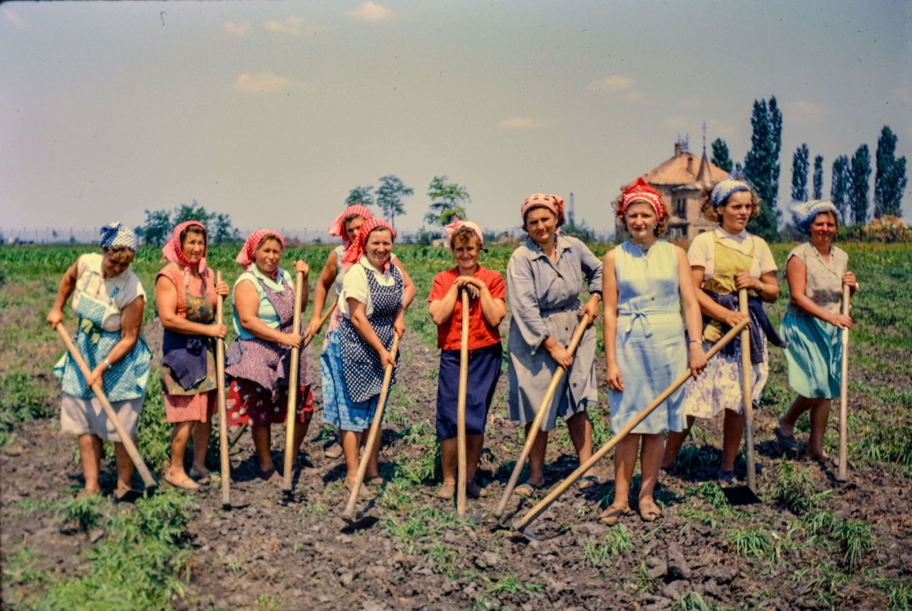 Csoportkép egy magyarországi termelőszövetkezetben dolgozó asszonyokkal •  Fotó: Bridget Gubbins