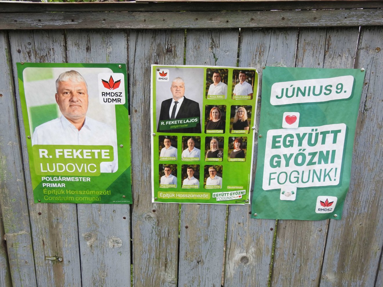 RMDSZ-es felhozatal az alakulat tulipános kampányplakátjain •  Fotó: Makkay József