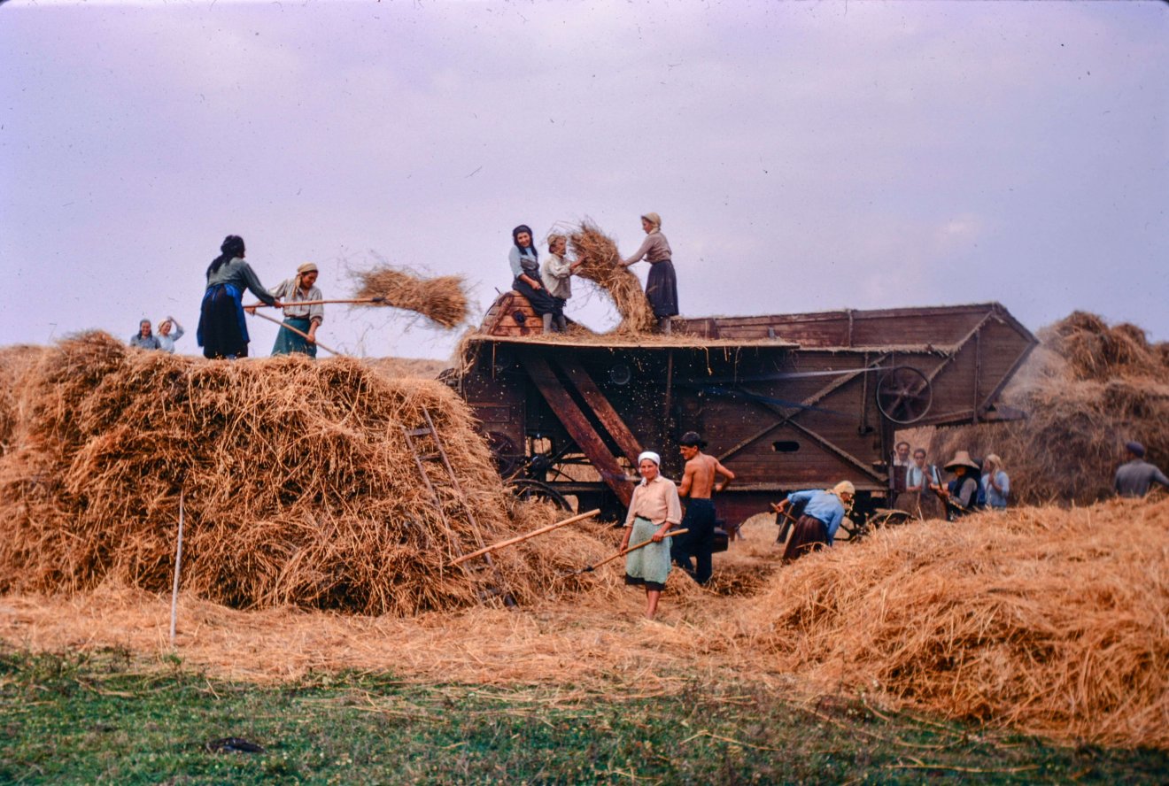 A hatvanas években még sok erdélyi faluban zakatoltak a cséplőgépek •  Fotó: Bridget Gubbins