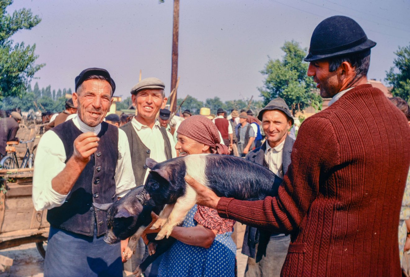 Vásári pillanatkép malacot kínáló gazdákról •  Fotó: Bridget Gubbins