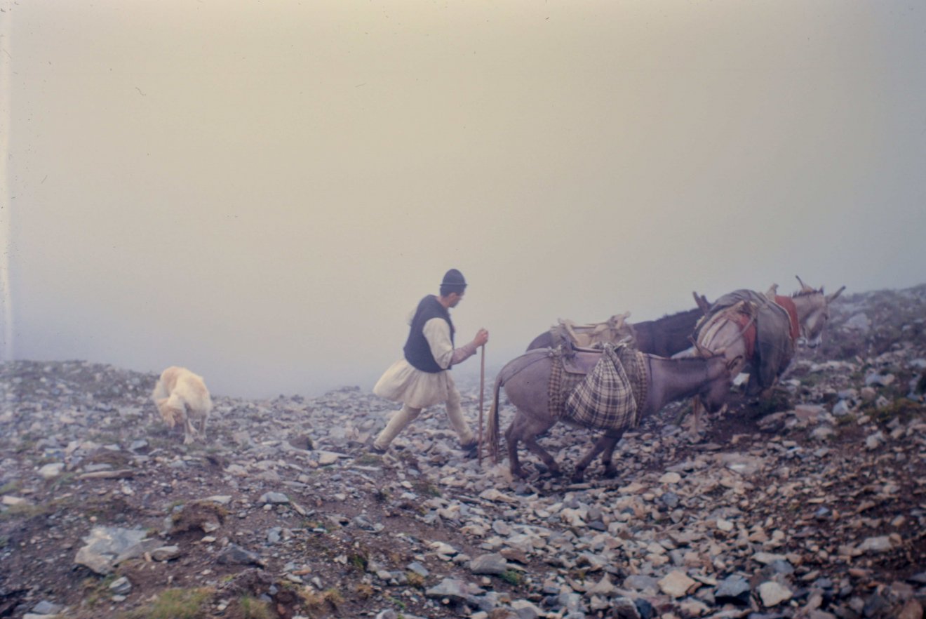 Vándorló juhász az Érchegységben •  Fotó: Bridget Gubbins