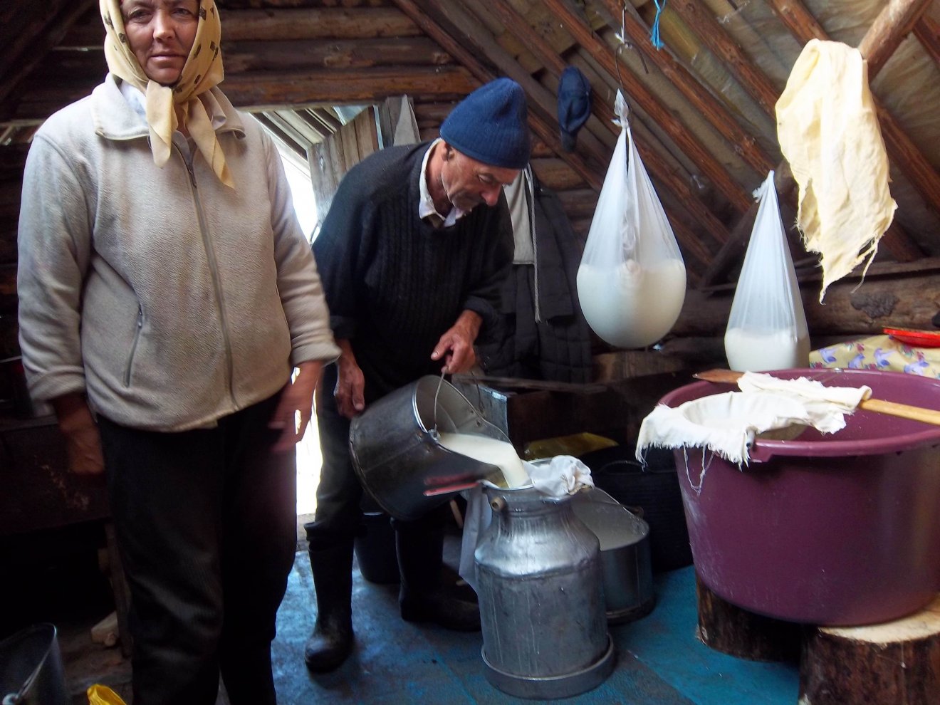 Sajtkészítés hegyvidéki esztenán •  Fotó: Bridget Gubbins