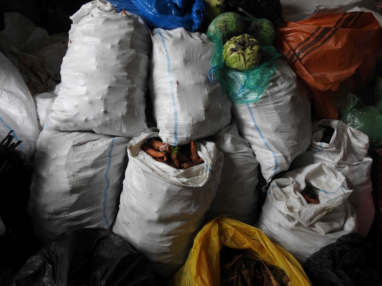 Zsákokban a piacolásra előkészített zöldség •  Fotó: Makkay József