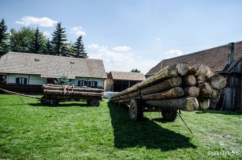 Ezentúl közösségi célra kell felhasználni az elkobzott faanyagot. Archív •  Fotó: Barabás Ákos
