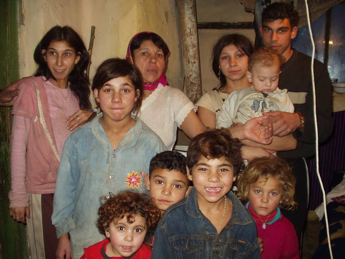 Érkenéz új lakói &bullet;  Fotó: Sütő Éva