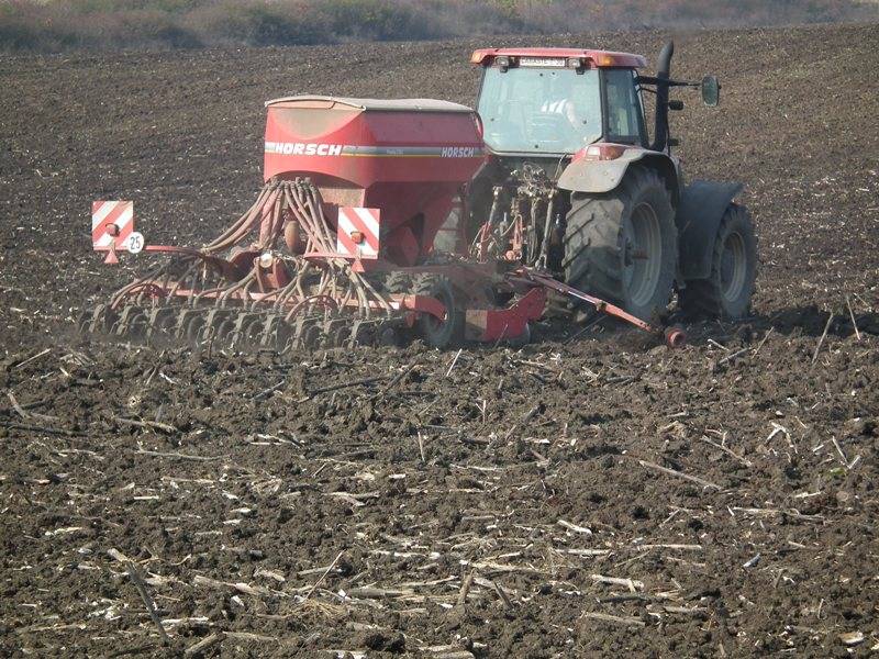 &bullet;  Fotó: Makkay József