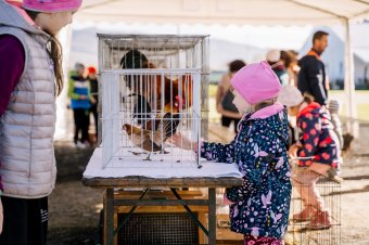 Az Erdélyi Magyar Gazdák Egyesületeinek Szövetsége a gazdák támogatását kéri az RMDSZ-től, nem kampányrendezvényeket