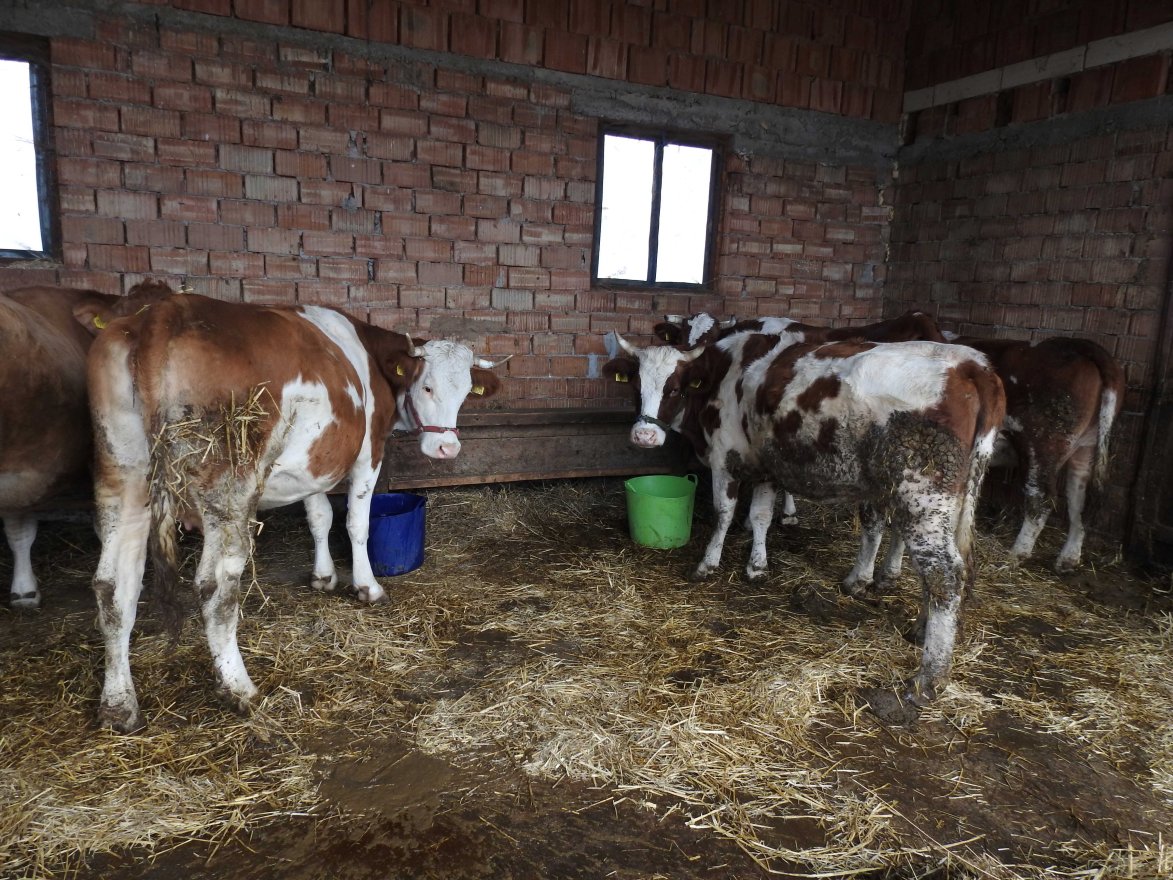 Nem kérnek a kozmetikázott reformból – A román gazdák elutasítják az Európai Bizottság agrárpolitikai engedményeit