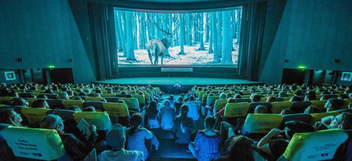 Közönségsiker: a kolozsvári moziban még a lépcsőkön is ültek a díjnyertes magyar film vetítésén &bullet;  Fotó: TIFF.ro