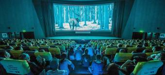 TIFF, a romániai filmes édenkert
