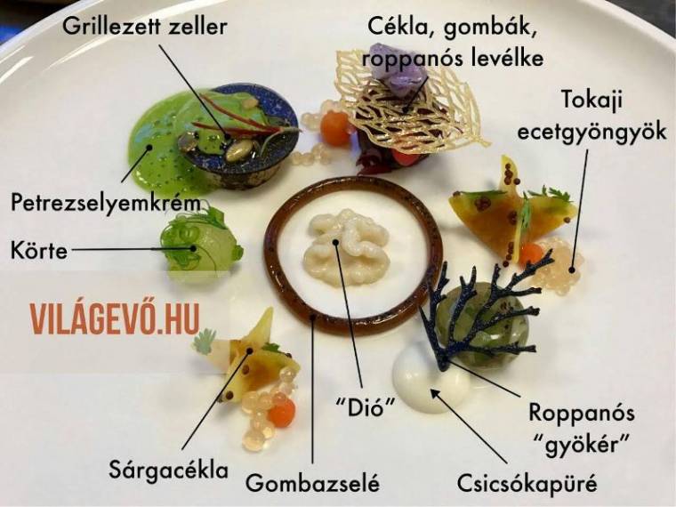 Bocuse D’Or, a magyar szakácssiker