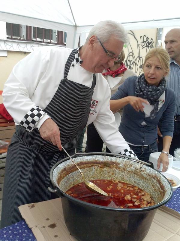 Szürkemarha-szimfónia a Fogoly utcában