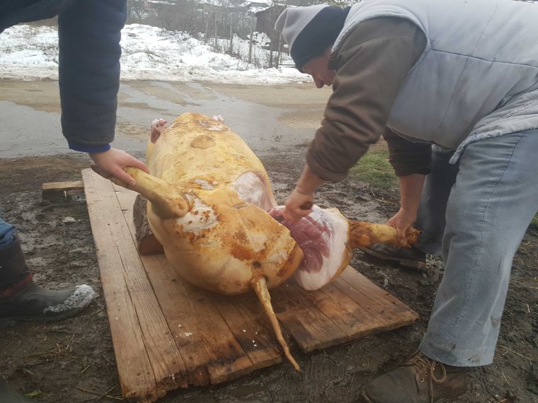 Itt a disznóvágási idény: állatorvosi engedéllyel értékesíthető a háztáji sertés