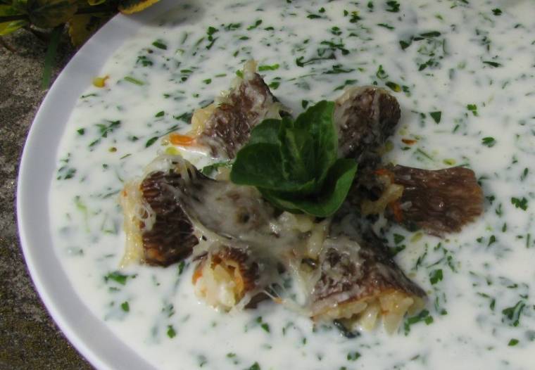 Turbolya nem csak a mesében van!