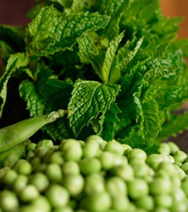 Hűs joghurtlevesek forró nyárra