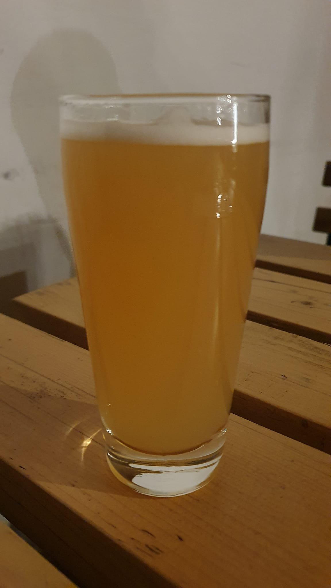 Igazi nedű egy pohár szűretlen kézműves sör &bullet;  Fotó: Borbély Zsolt Attila