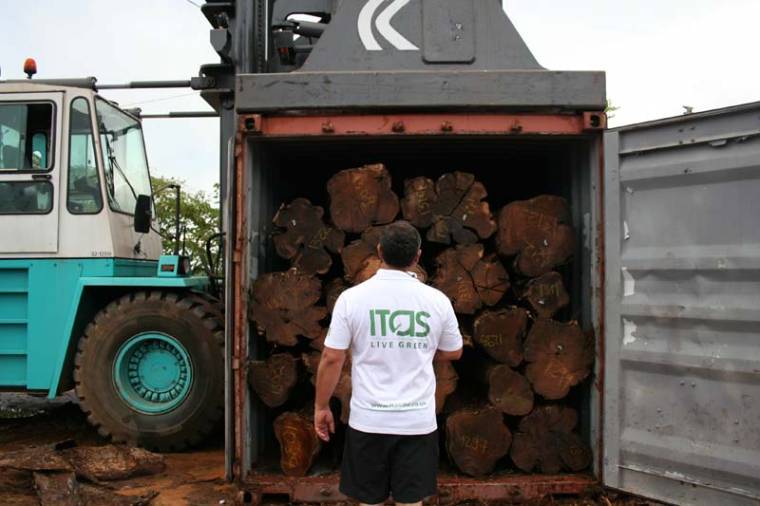 Hétszer több szelet kenyér