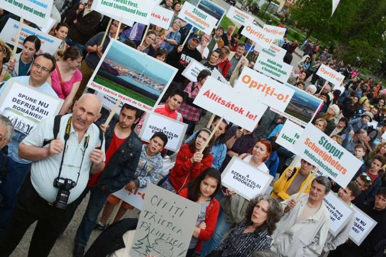 Zúg az erdő, zúgnak a zöldek