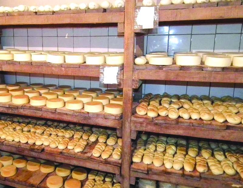 &bullet;  Fotó: Makkay József