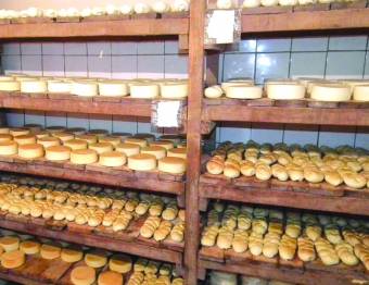 Lépéshátrányban a helyi termék