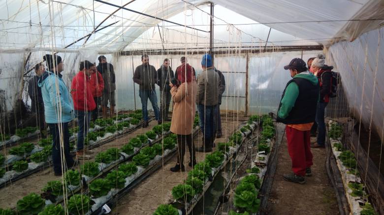 Farmerképző a fóliasátorban: a gazdatanfolyamok elengedhetetlen része a gyakorlati oktatás •  Fotó: RMGE Maros
