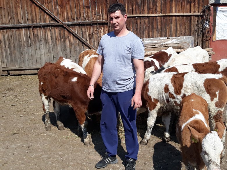 Jakab Arnold Csíkszentimrén a húsmarhatartás jövőjében bízik •  Fotó: EMGESZ