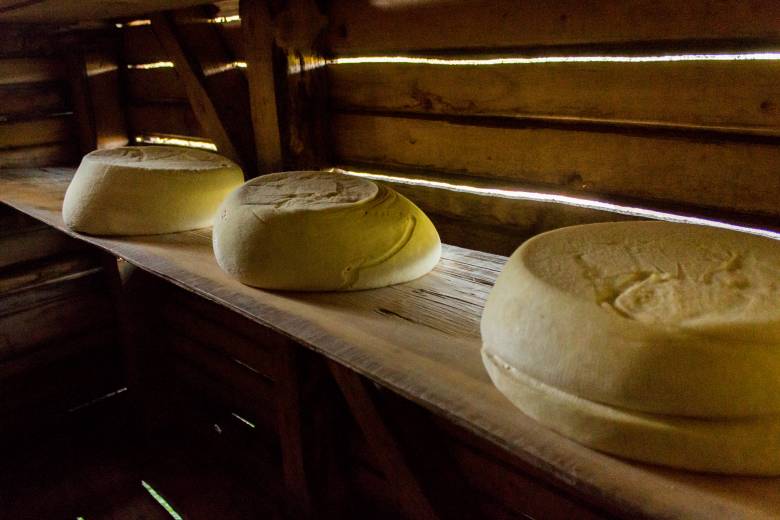 A napi nyolcvan liter tejből 11-12 kilogramm sajt készül •  Fotó: Pap Éva