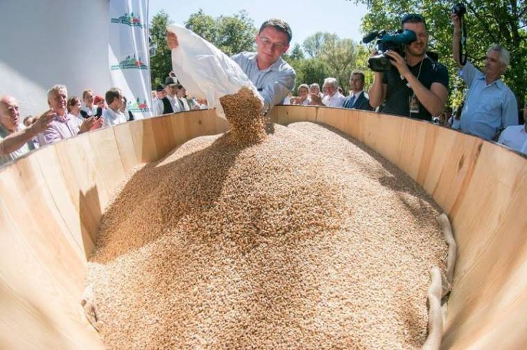 Magyar–magyar gazdakapcsolatok