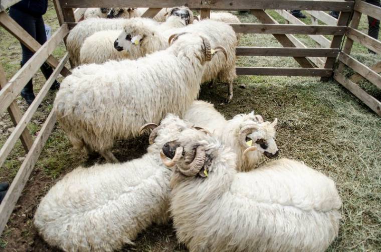 A gazdák idei szabványjövedelme