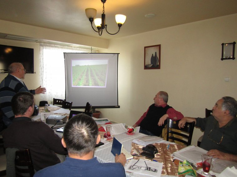 Újra slágernövény lehet a kender