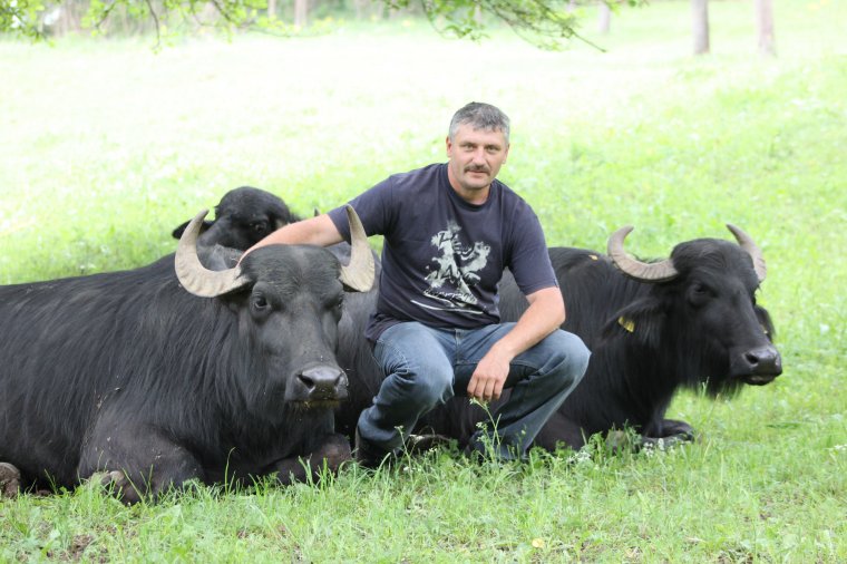 Piacos székely gazdák