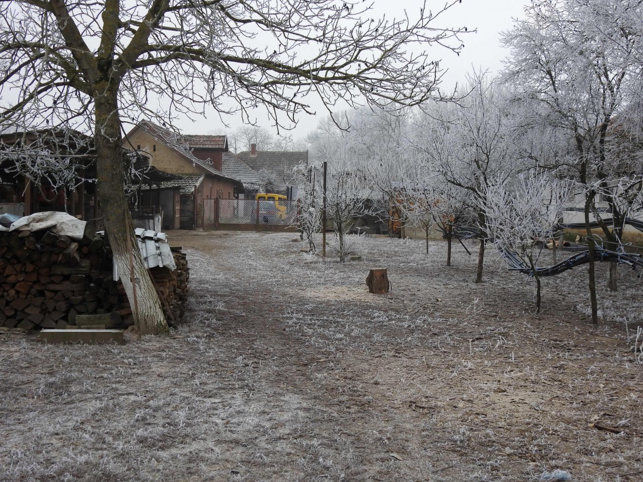 A sándorhomoki gazdaporta télen •  Fotó: Makkay József