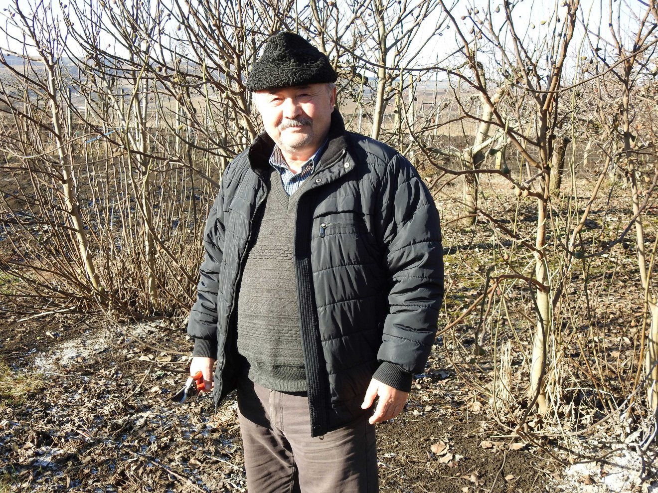 Simon Zoltán falugazdász detrehemtelepi gyümölcsösében •  Fotó: Makkay József