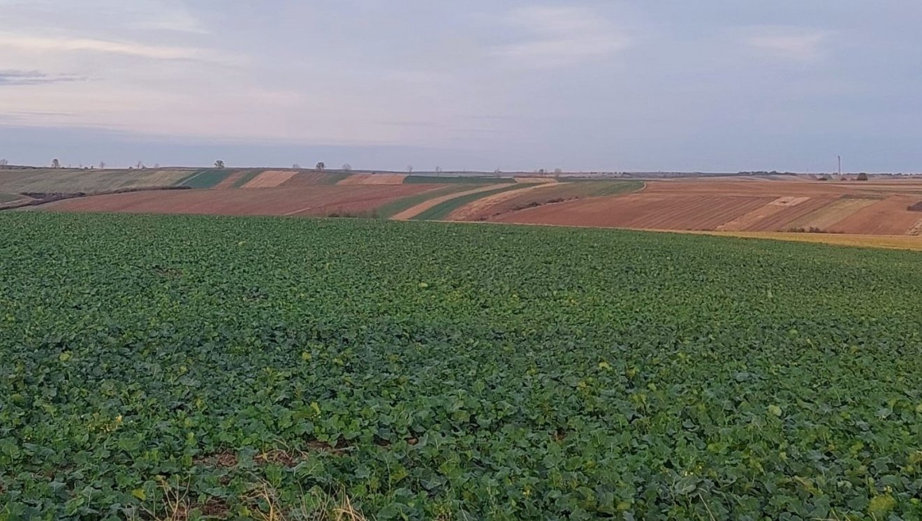 A mezőgazdasági területek telekelése külön gond, mert az örökösök sok esetben nem ismerik, hol fekszik a birtok •  Fotó: Makkay József