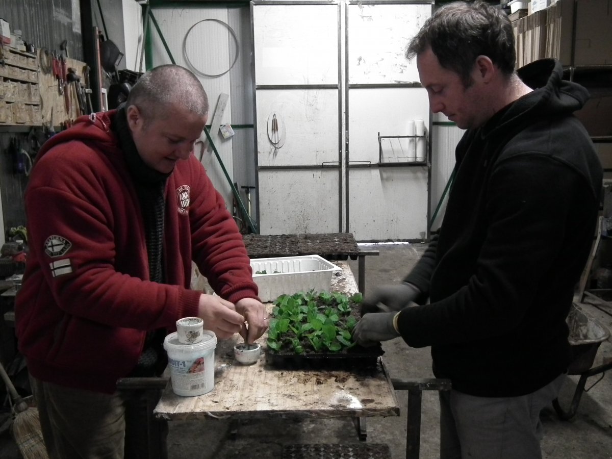 Az agráregyetem helyett a YouTube-ról tanulták a dugványozás fortélyait &bullet;  Fotó: Makkay József