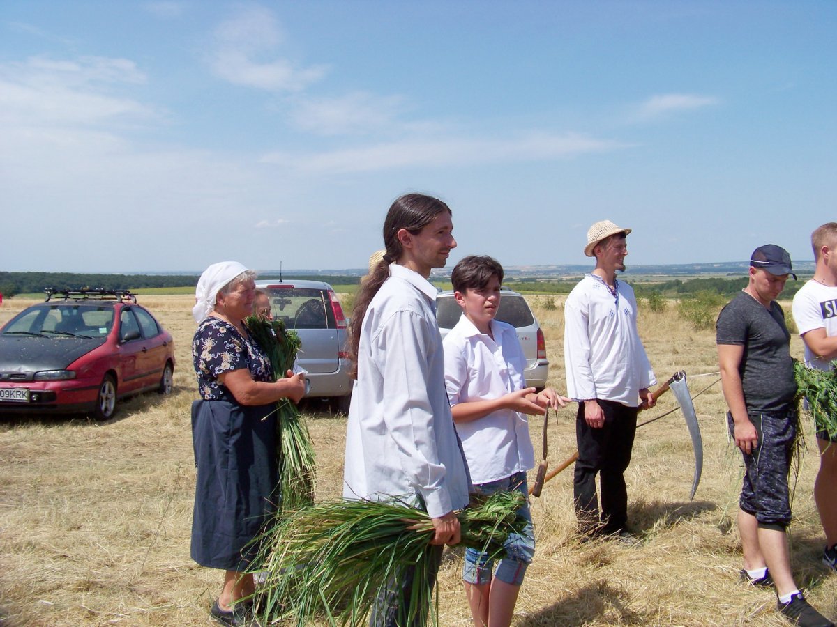 Borsi Levente (kezében a kalászokkal) a siteri aratóversenyen egyik szervezőjeként &bullet;  Fotó: Érmelléki Gazdák Egyesülete