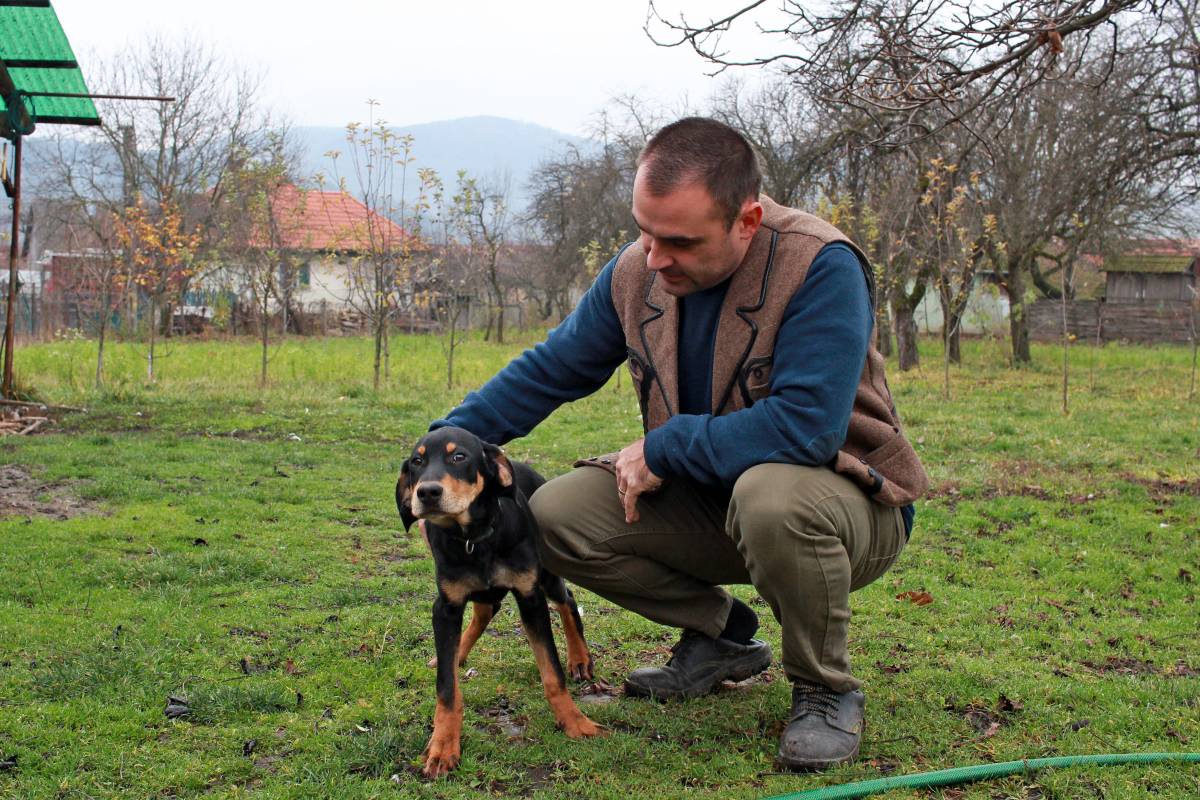 Eb és gazdája. Tőkés Lóránt szerint aki megismeri az erdélyi kopót, az meg is szereti •  Fotó: Haáz Vince
