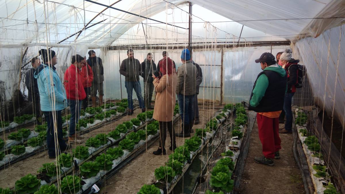 Farmerképző a fóliasátorban: a gazdatanfolyamok elengedhetetlen része a gyakorlati oktatás &bullet;  Fotó: RMGE Maros