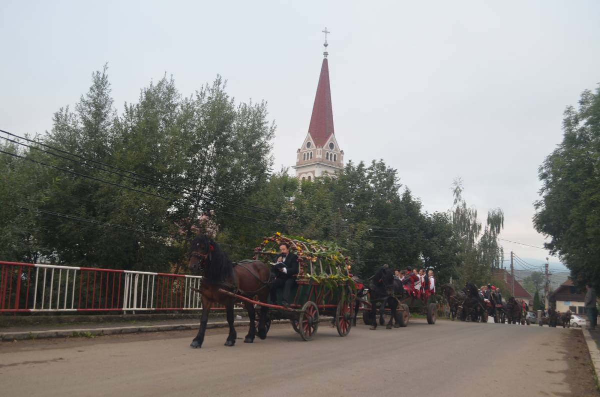 Mádéfalvi Nemzetközi Hagymafesztivált azért rendezik, hogy a gazdákat ösztönözzék a hagymatermesztésre &bullet;  Fotó: Veres Nándor